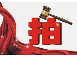 再现环卫经营权“拍卖”项目