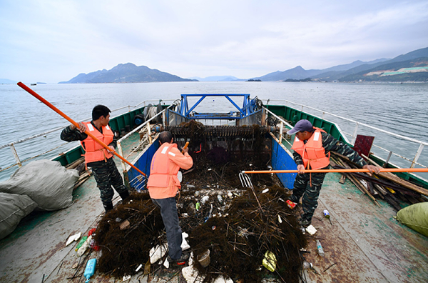 加强源头治理海洋垃圾 共建共享碧海蓝天洁净沙滩1