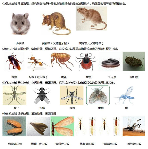 虫害的治理1