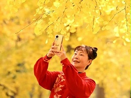 水枪打叶vs 落叶缓扫：秋日诗意何去何从？