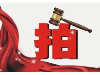 东北“第一拍”3.75亿成交！今年环卫特许经营权转让费有望破百亿