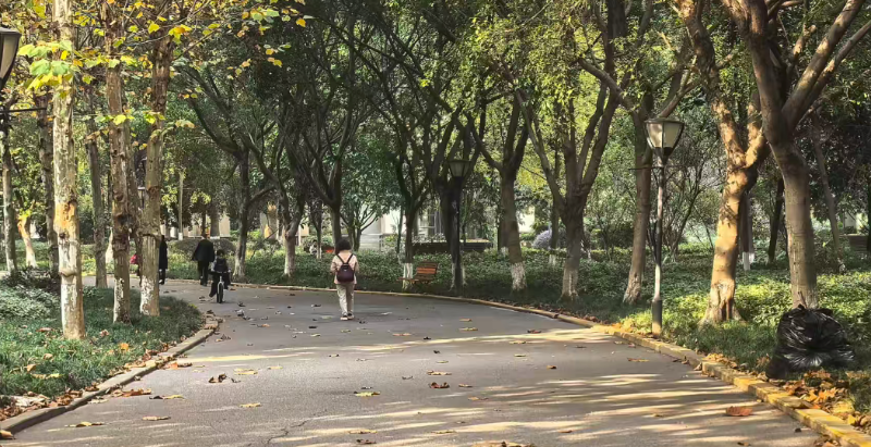 玉龙环保：多地加码“两网融合”环卫模式