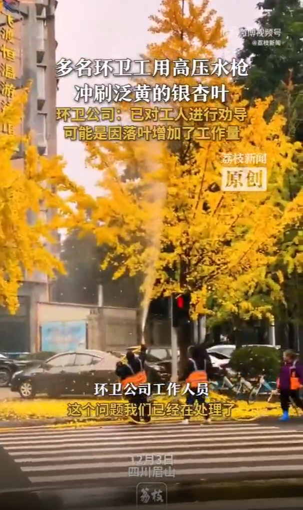 玉龙环保：环卫工用高压水枪冲刷银杏叶