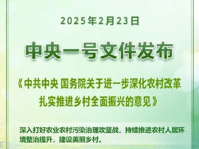 中央一号文件发布丨推动农村生活垃圾源头减量、就地就近处理和资源化利用